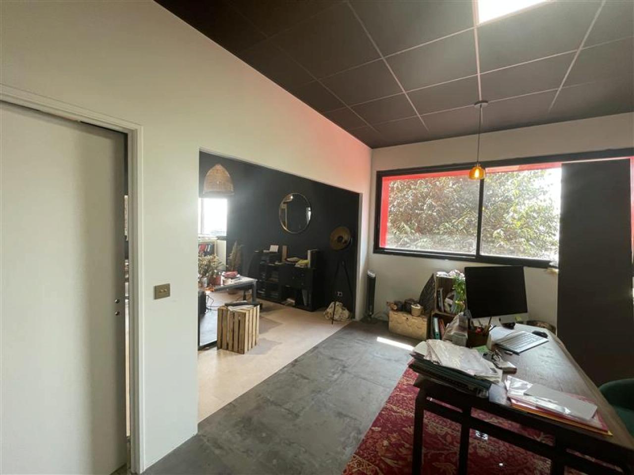 Local d'activité Mauguio 1115m² Location local d'activité Mauguio Hérault OLACT2533214 17